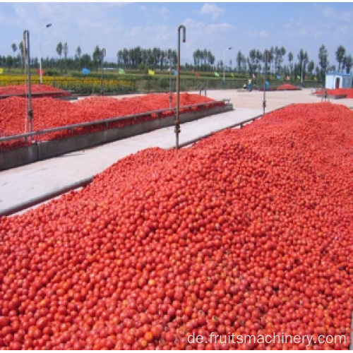 Obst -Gemüse -Tomatenpulver -Maschine